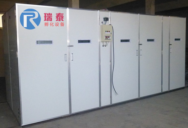瑞泰28160枚大型孵化機(jī)
