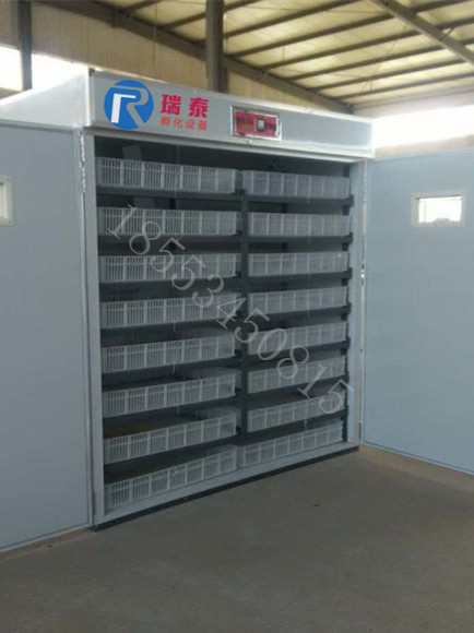 瑞泰3168枚三用機