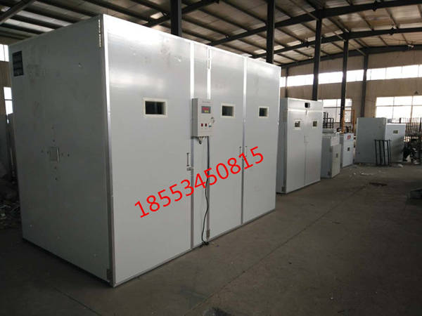 三組孵化機(jī)