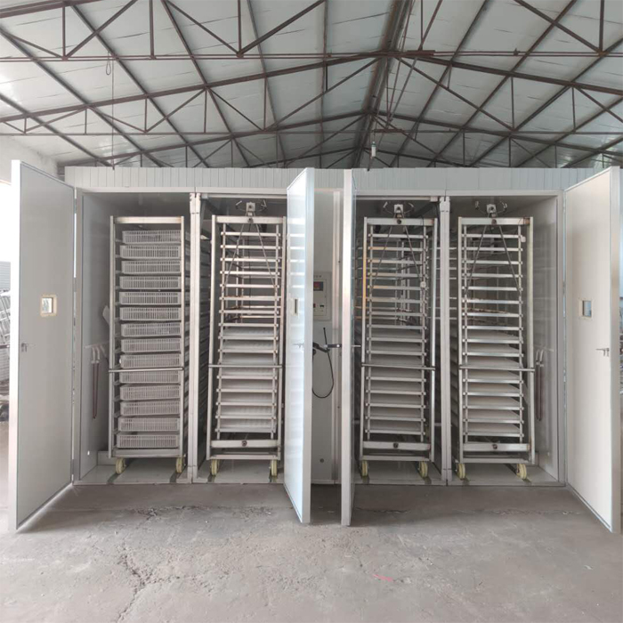 瑞泰19172枚大型孵化機(jī)