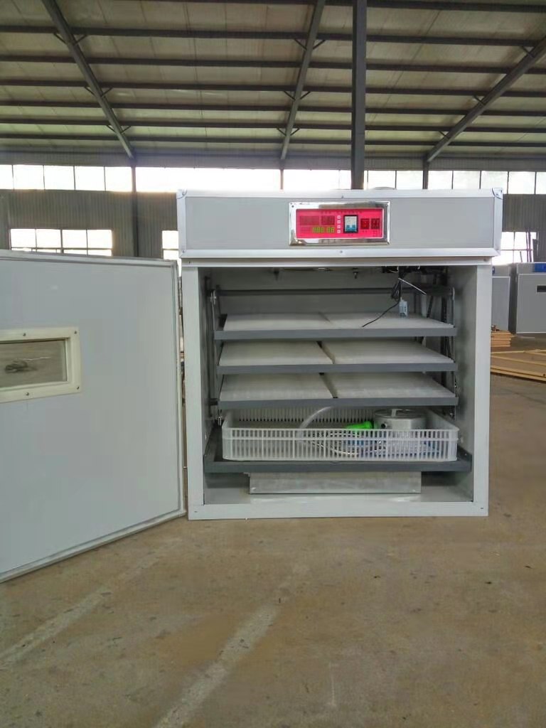 528枚小型孵化機(jī)