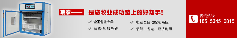瑞泰孵化設(shè)備